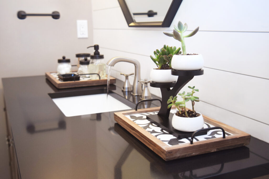Vanity Trays