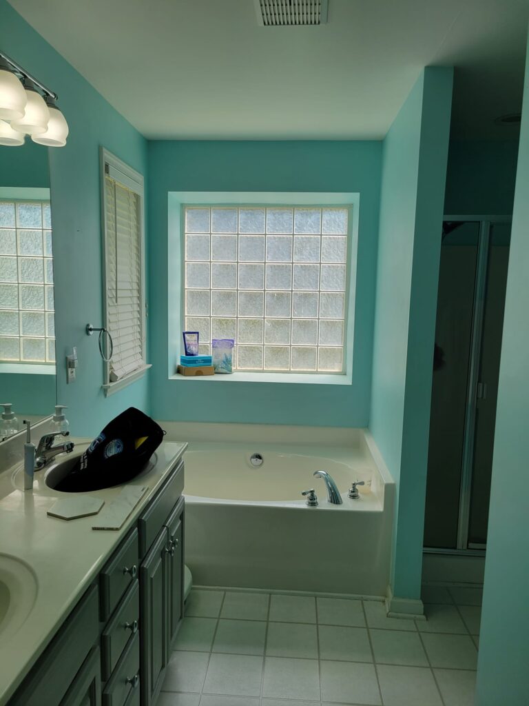 Bathroom before